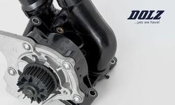 ���-5 ������� ����� ��� ��������� ���� Dolz