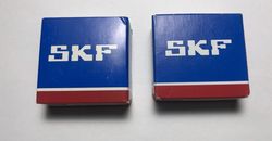 ϳ�������� SKF: �� �������� �������� ������ �� �������?